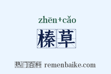 榛草是什么意思的图片